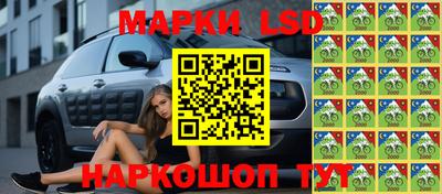 спайс Аргун